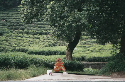 2023去追赶失去的时光